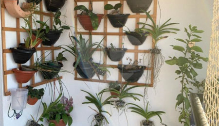 Apartamento à venda com 3 quartos, sendo 2 suítes,  em Tucuruvi, São Paulo, SP