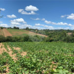 Área de Terra à venda em Cristóvão, Araçoiaba da Serra, SP