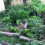 Casa Térrea à venda com 3 quartos, sendo 1 suíte,  em Olho D'água, Mairiporã, SP
