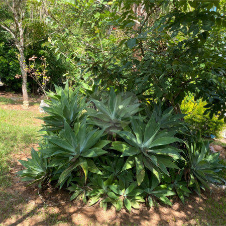 Chácara à venda com 3 quartos, sendo 2 suítes,  em Jundiacanga, Araçoiaba da Serra, SP
