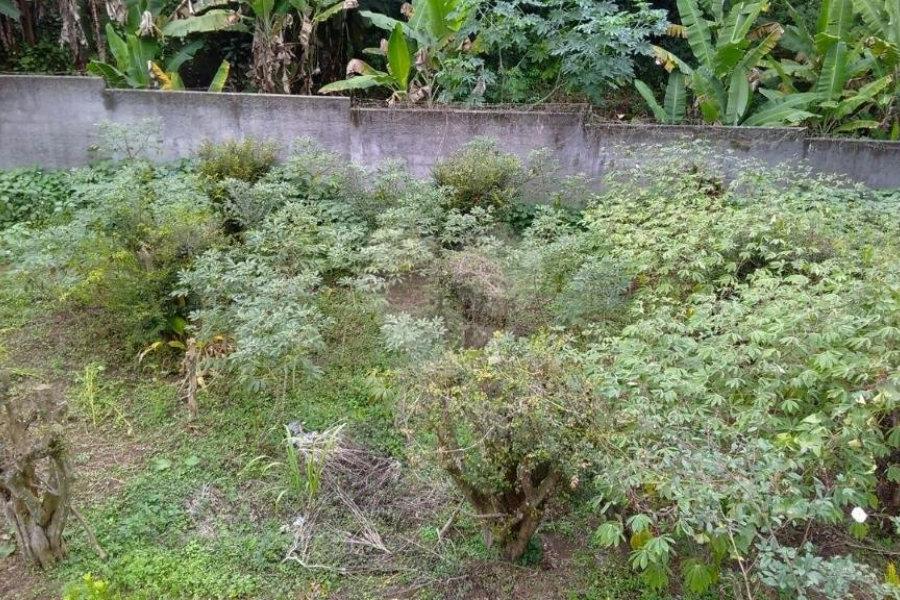Fazenda à venda em Horto, São Paulo, SP