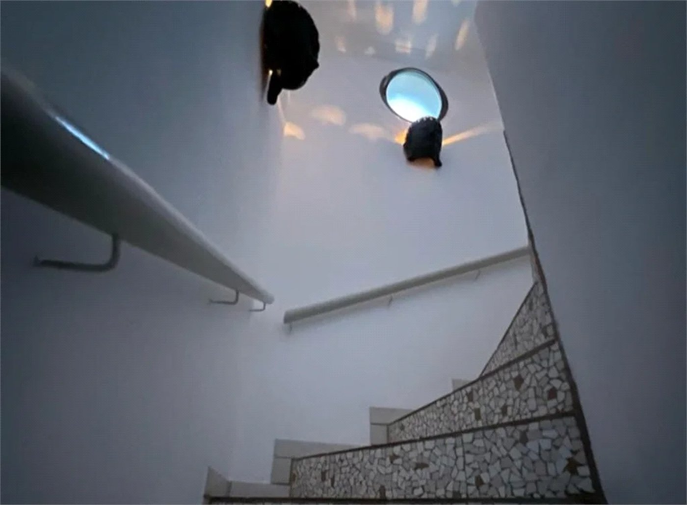 Cobertura à venda com 3 quartos, sendo 1 suíte, em Vila Andrade, São Paulo, SP