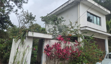Terreno à venda ou para alugar em Horto, São Paulo, SP