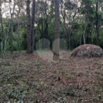 Terreno à venda em Serra da Cantareira, Mairiporã, SP