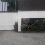 Apartamento à venda com 3 quartos, sendo 1 suíte,  em Parada Inglesa, São Paulo, SP