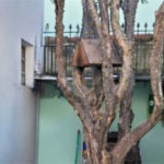 Casa à venda com 4 quartos em Cidade Nova I, Indaiatuba, SP