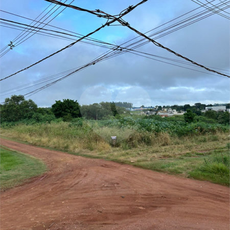 Terreno à venda em Bosque de Ponta Porã, Ponta Porã, MS