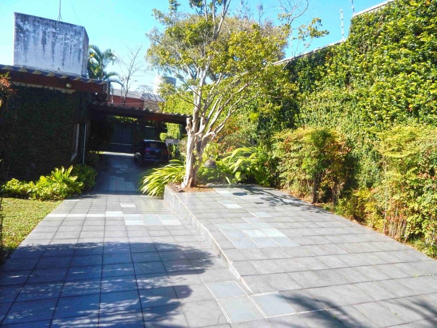 Casa Térrea à venda com 3 quartos, sendo 1 suíte,  em Chácara Monte Alegre, São Paulo, SP
