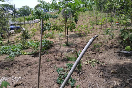 Chácara à venda com 2 quartos em Vila Caputera, Mogi das Cruzes, SP