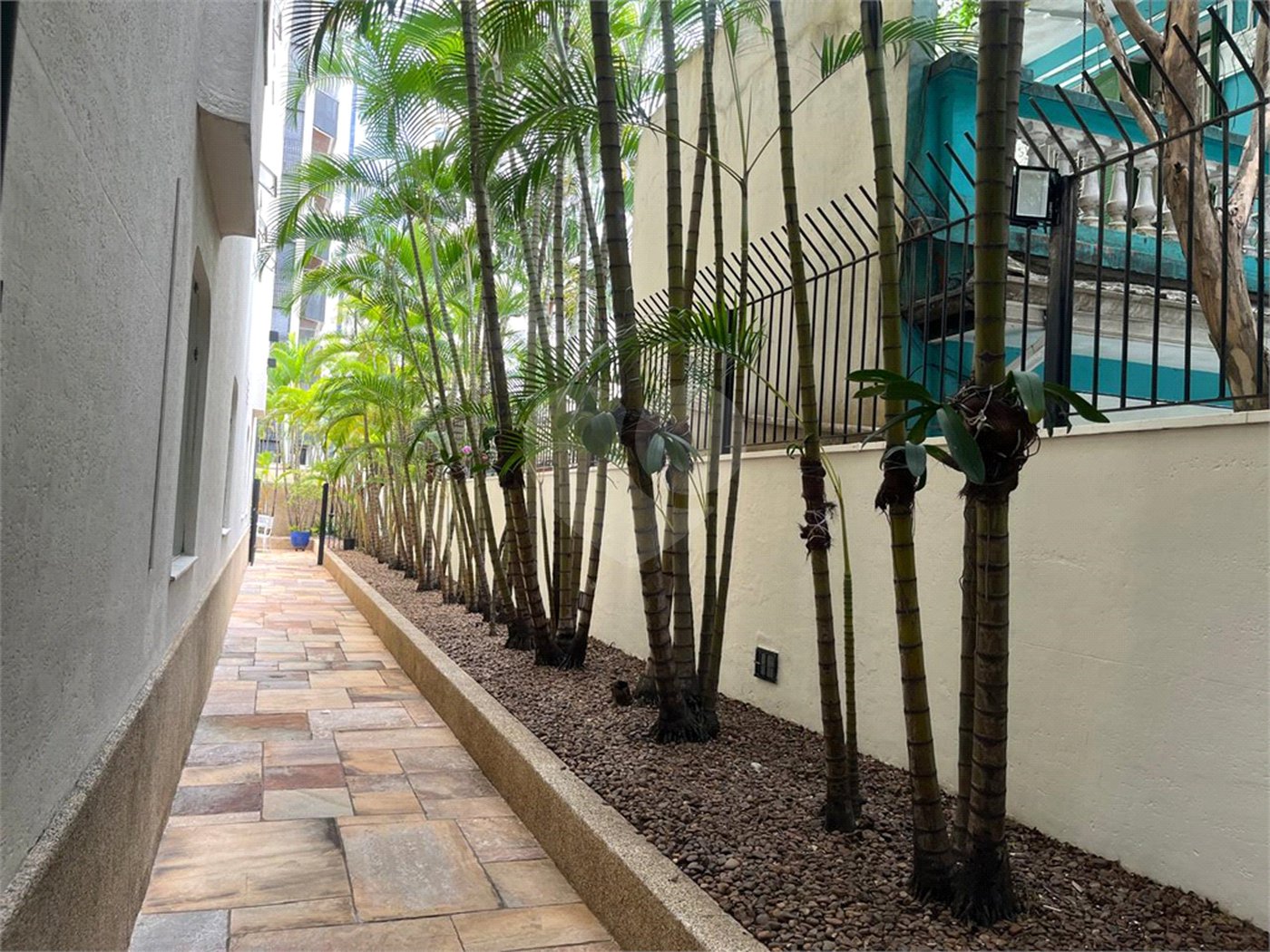 Lindo apartamento de 3 quartos à venda no melhor de Higienopolis