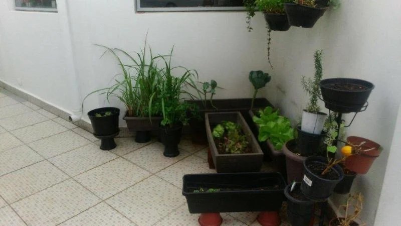Sobrado à venda com 5 quartos, sendo 2 suítes, em Instituto de Previdência, São Paulo, SP