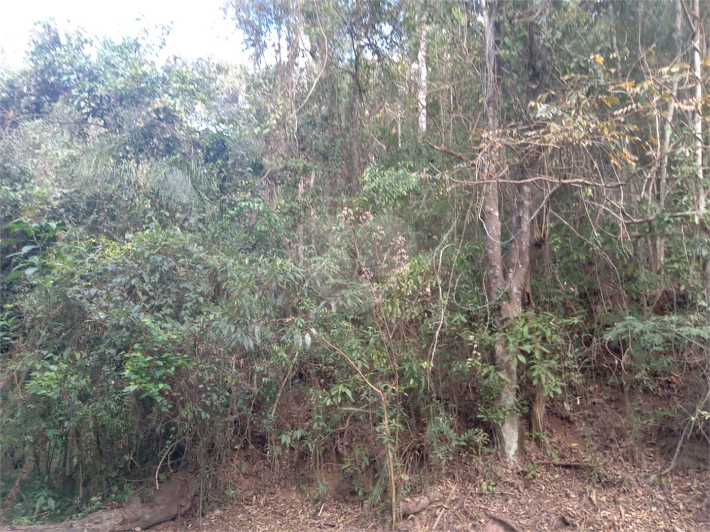 Terreno à venda no condomínio Sausalito, Mairiporã - SP