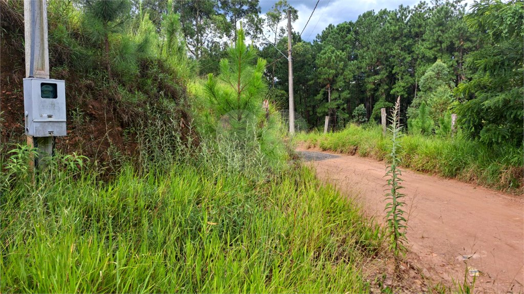 Terreno à venda em Terra Preta (terra Preta), Mairiporã, SP