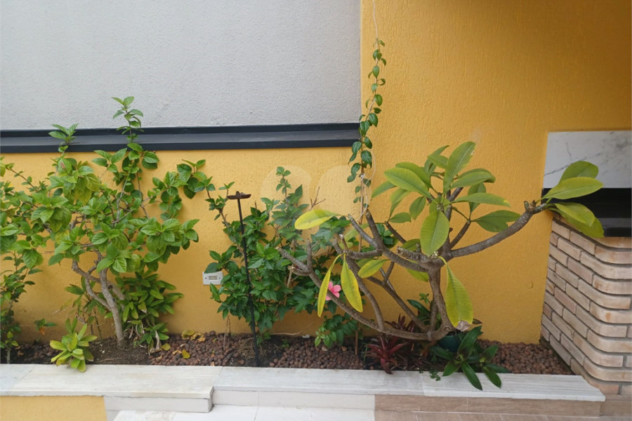 Casa Térrea à venda com 3 suítes em Jardim São Paulo(zona Norte), São Paulo, SP