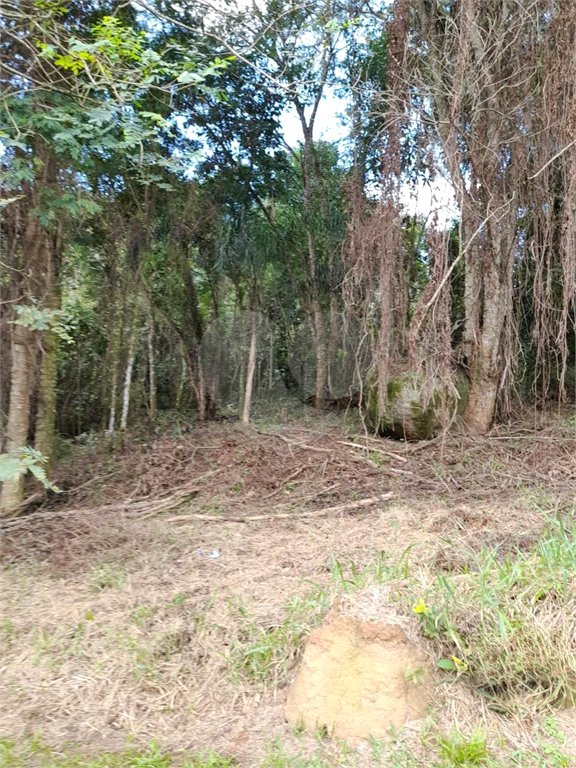 Loteamento à venda em Serra da Cantareira, São Paulo, SP
