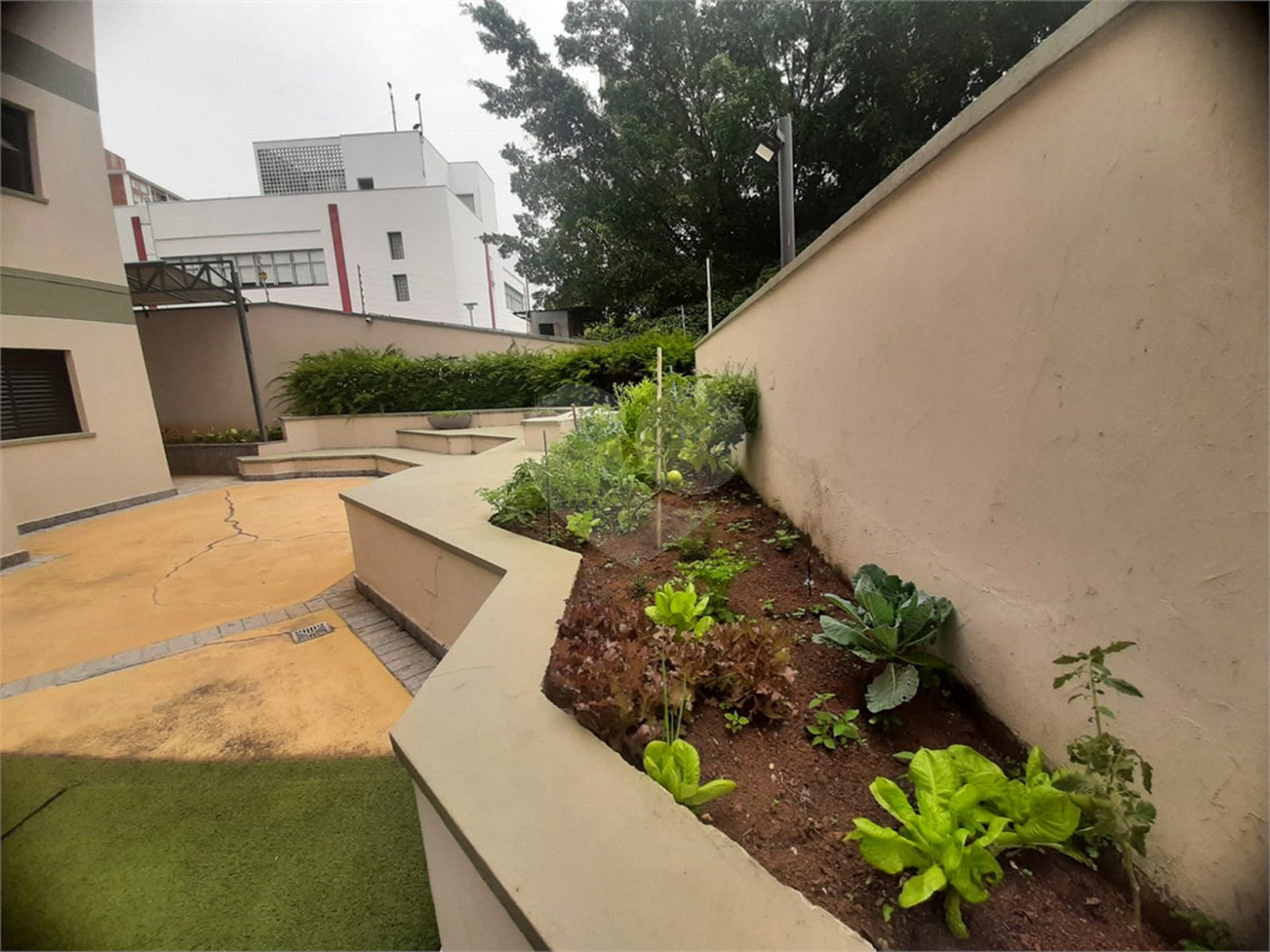Apartamento à venda com 3 quartos, sendo 1 suíte, em Jardim São Paulo(zona Norte), São Paulo, SP