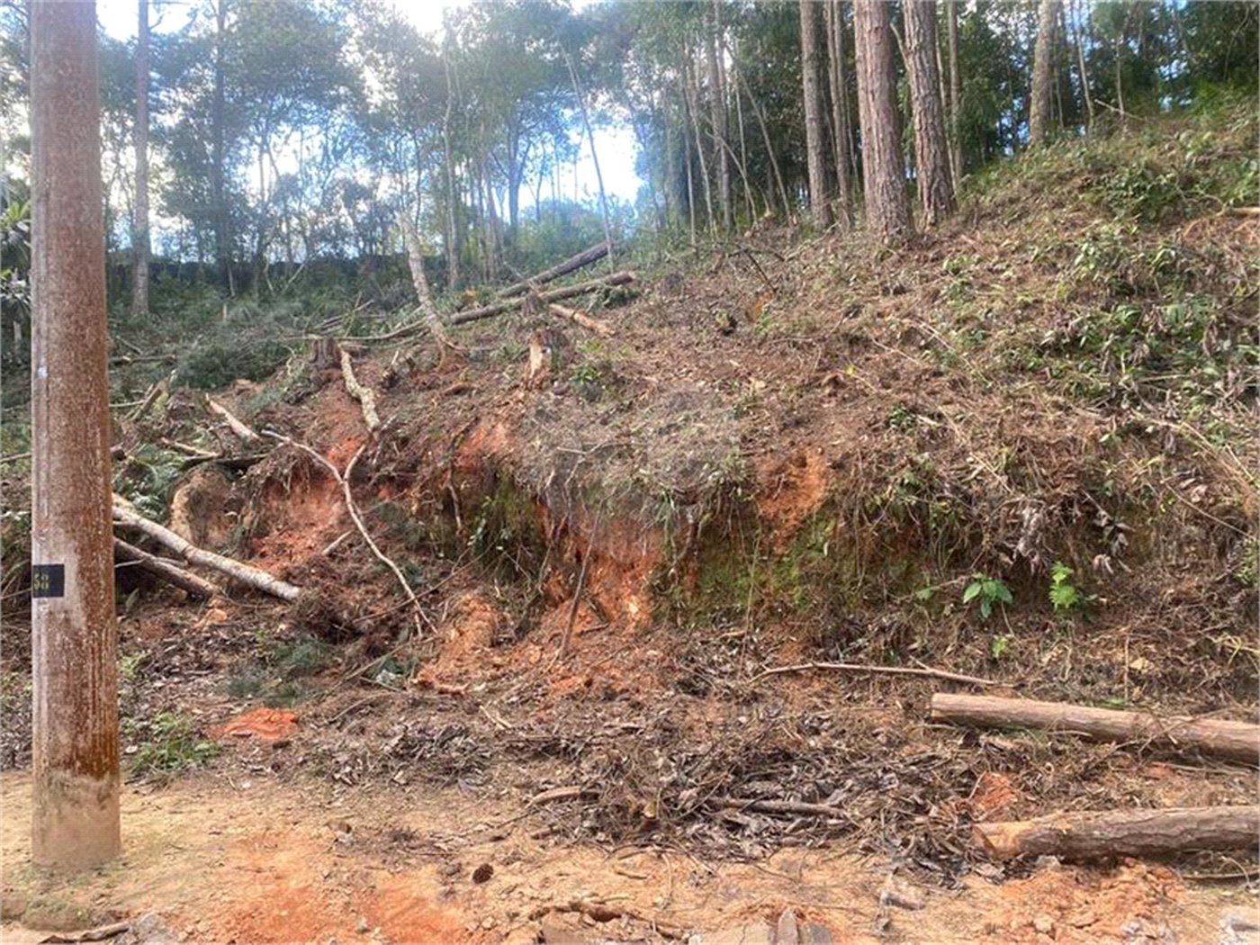 Terreno à venda no Centro (mailasqui), São Roque, SP