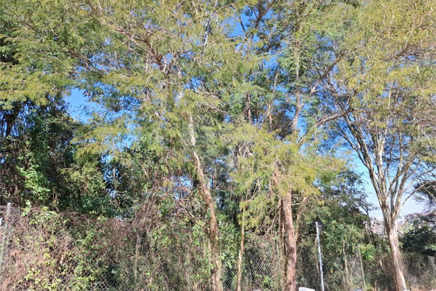 Terreno à venda em Jardim Peri, São Paulo, SP