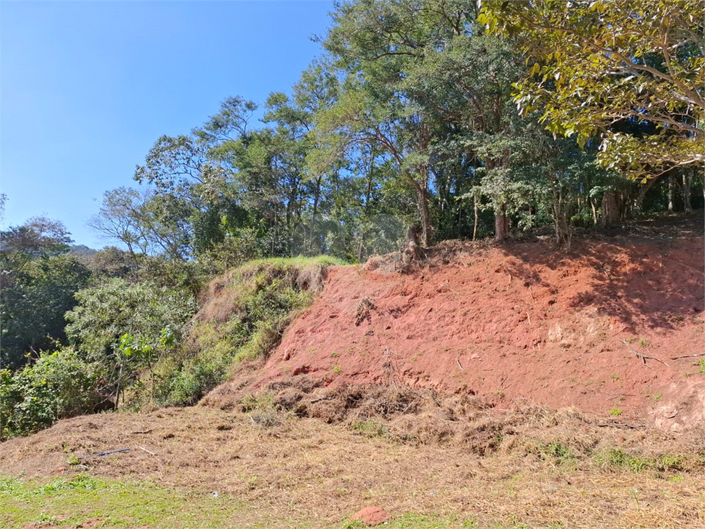 Terreno à venda em Horto Florestal, São Paulo, SP
