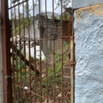 Terreno à venda em Lauzane Paulista, São Paulo, SP