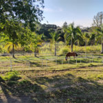Terreno à venda em Estância Hidromineral Santa Eliza, Itupeva, SP