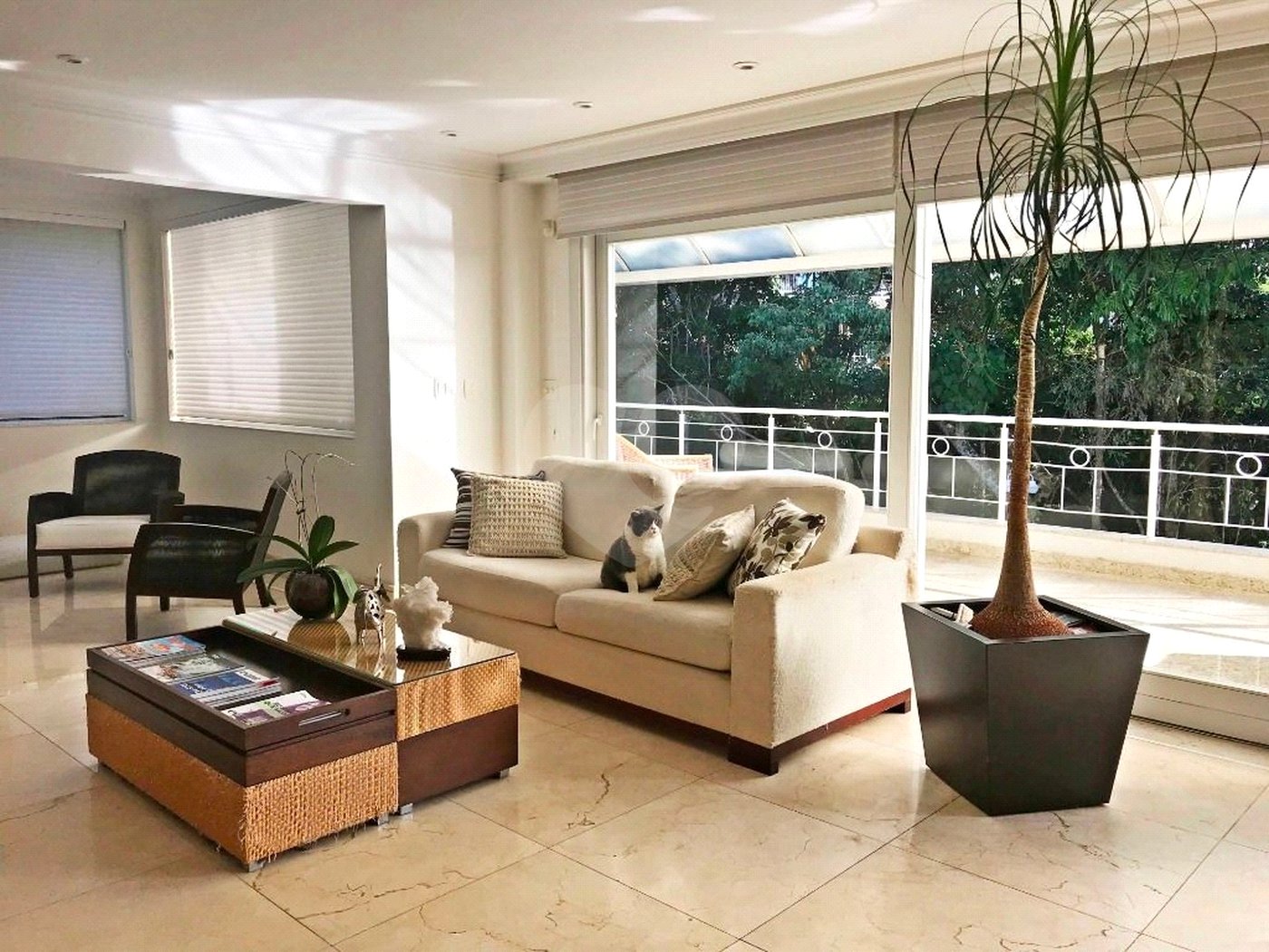 Casa à venda com 4 suítes em Horto Florestal, São Paulo, SP