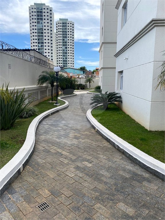 Apartamento à venda com 3 quartos, sendo 1 suíte, em Jardim Aida, Guarulhos, SP