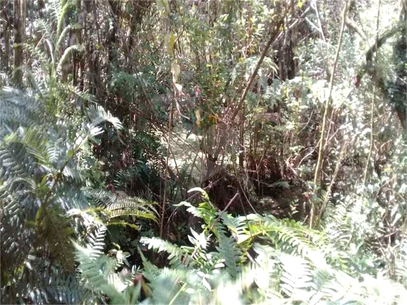 Terreno à venda em Serra da Cantareira, Mairiporã, SP