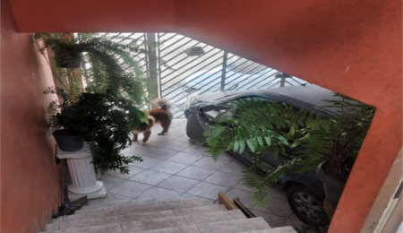 Casa à venda com 2 quartos em Tucuruvi, São Paulo, SP