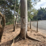 Casa à venda com 2 quartos, sendo 1 suíte, em Jardim Portal do Itavuvu, Sorocaba, SP