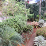 Sobrado à venda com 4 suítes em Alto da Boa Vista, São Paulo, SP