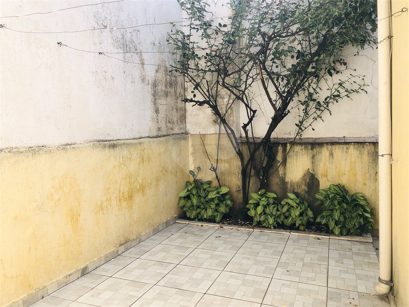 Casa à venda com 3 quartos, sendo 1 suíte,  em Jaçanã, São Paulo, SP