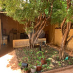 Casa à venda com 5 quartos, sendo 1 suíte,  no condomínio Casa, São Paulo - SP