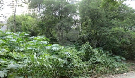 Terreno à venda em Vila Suzana, São Paulo, SP