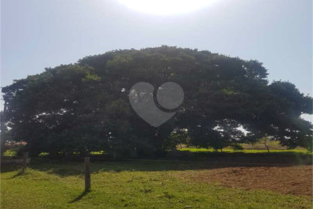 Fazenda à venda com 2 quartos em Canabrava, João Pinheiro, MG