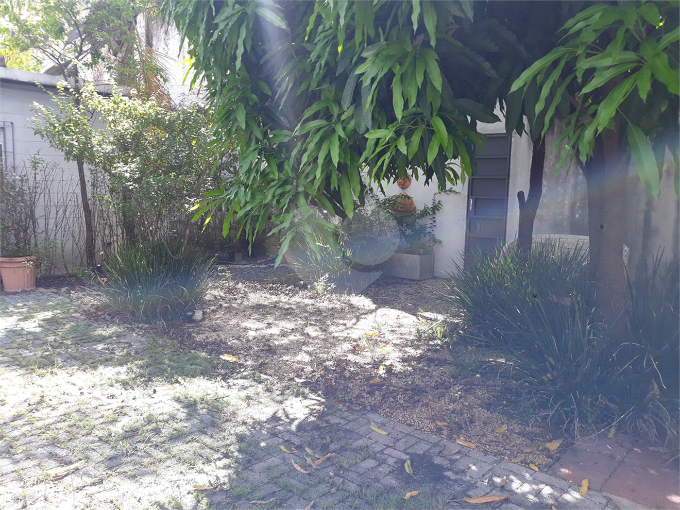 Barracão à venda em Cambuci, São Paulo, SP