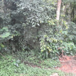 Terreno à venda em Roseira, Mairiporã, SP
