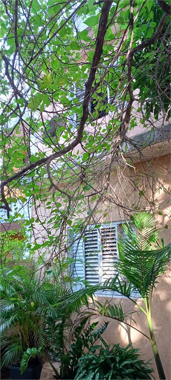 Casa à venda com 4 quartos, sendo 1 suíte, em Tremembé, São Paulo, SP