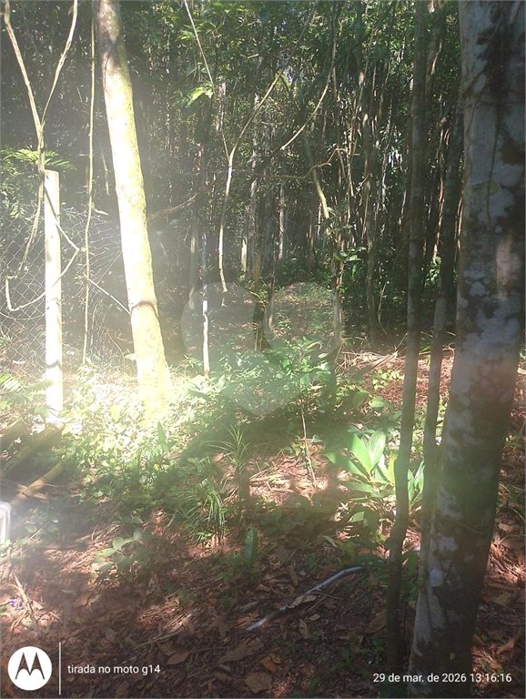 Terreno à venda em Dos Finco, São Bernardo do Campo, SP