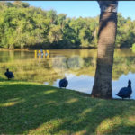 Casa à venda com 3 quartos, sendo 1 suíte,  no condomínio Reserva Ipanema, Sorocaba - SP