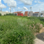 Terreno com 250,00 m² .