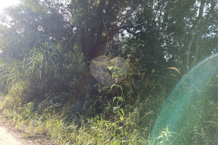 Chácara à venda com 2 quartos, sendo 1 suíte, em Caete (mailasqui), São Roque, SP