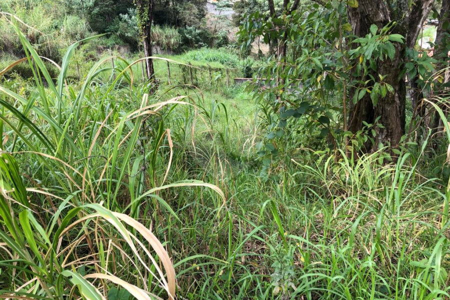 Terreno à venda em Serra da Cantareira, Mairiporã, SP