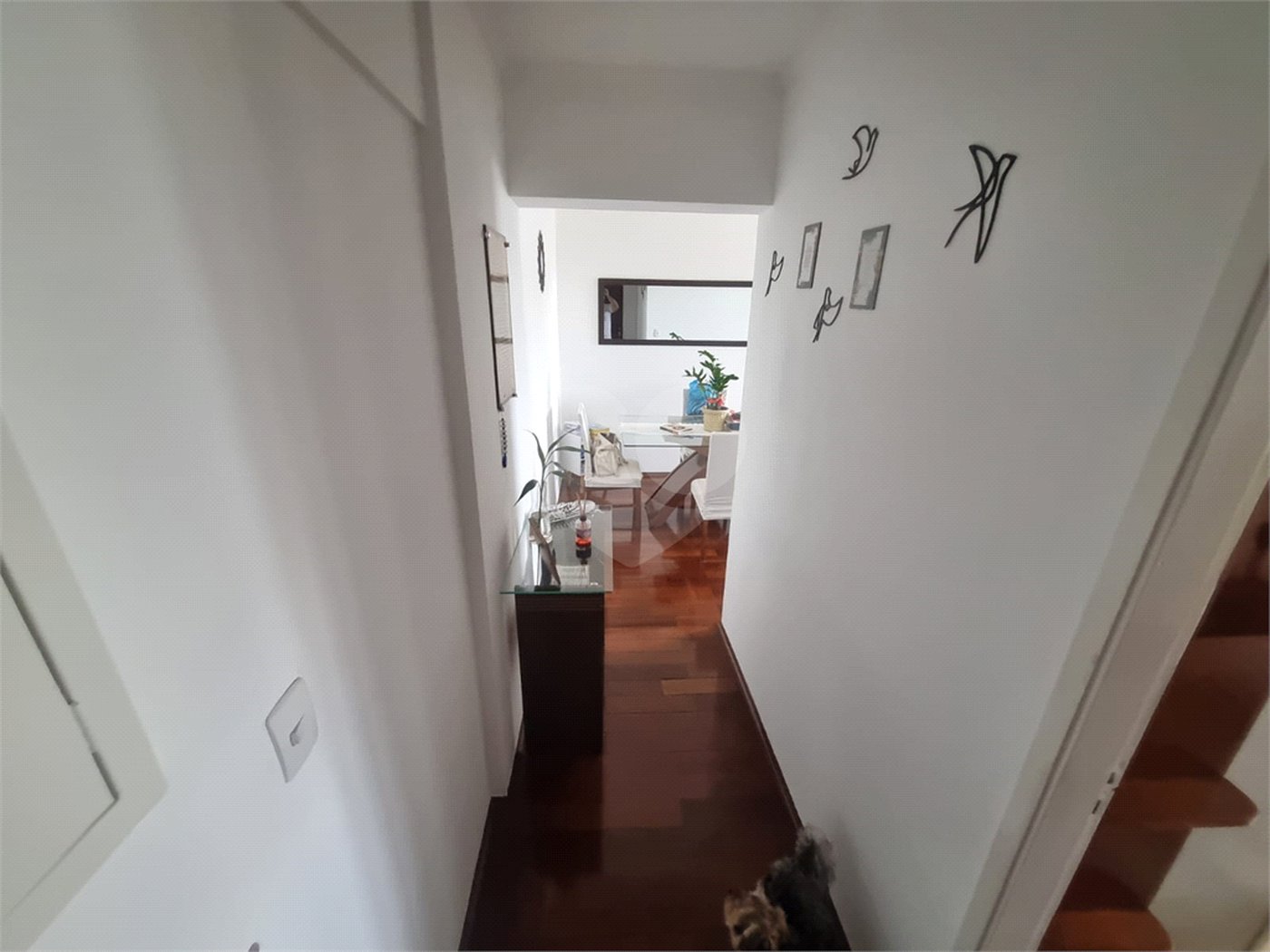 Apartamento à venda com 2 quartos em Vila Guilherme, São Paulo, SP