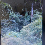Terreno à venda em Jardim Colonial, Carapicuíba, SP