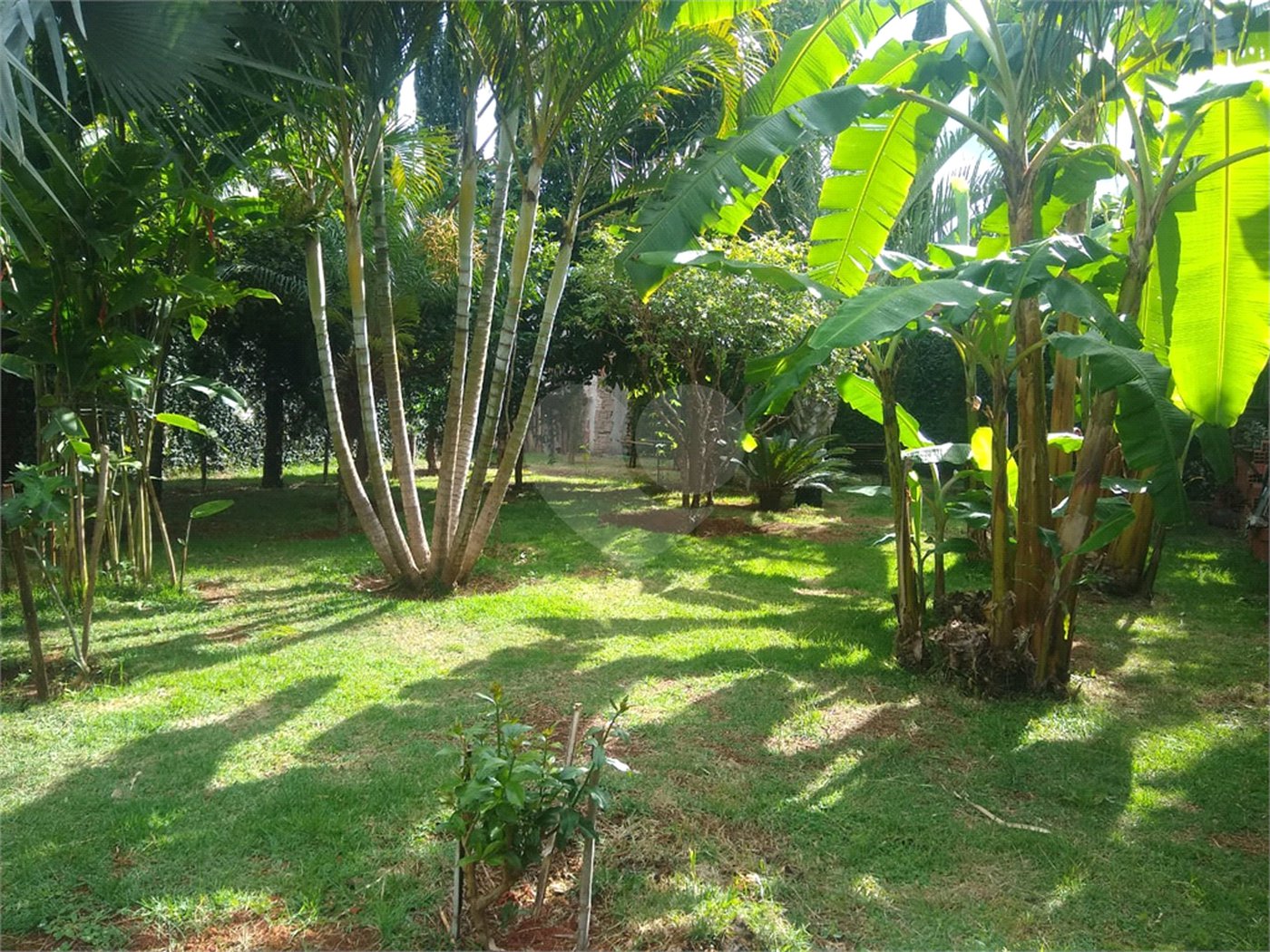 Casa à venda ou para alugar com 2 quartos, sendo 1 suíte,  em Vila Novo Horizonte, Itapetininga, SP