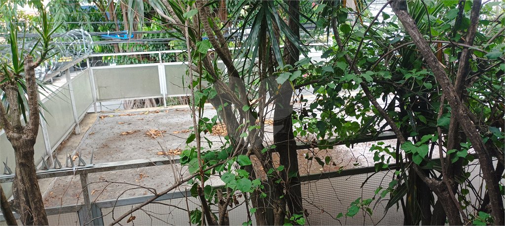 Sobrado à venda com 3 quartos, sendo 1 suíte, em Jabaquara, São Paulo, SP