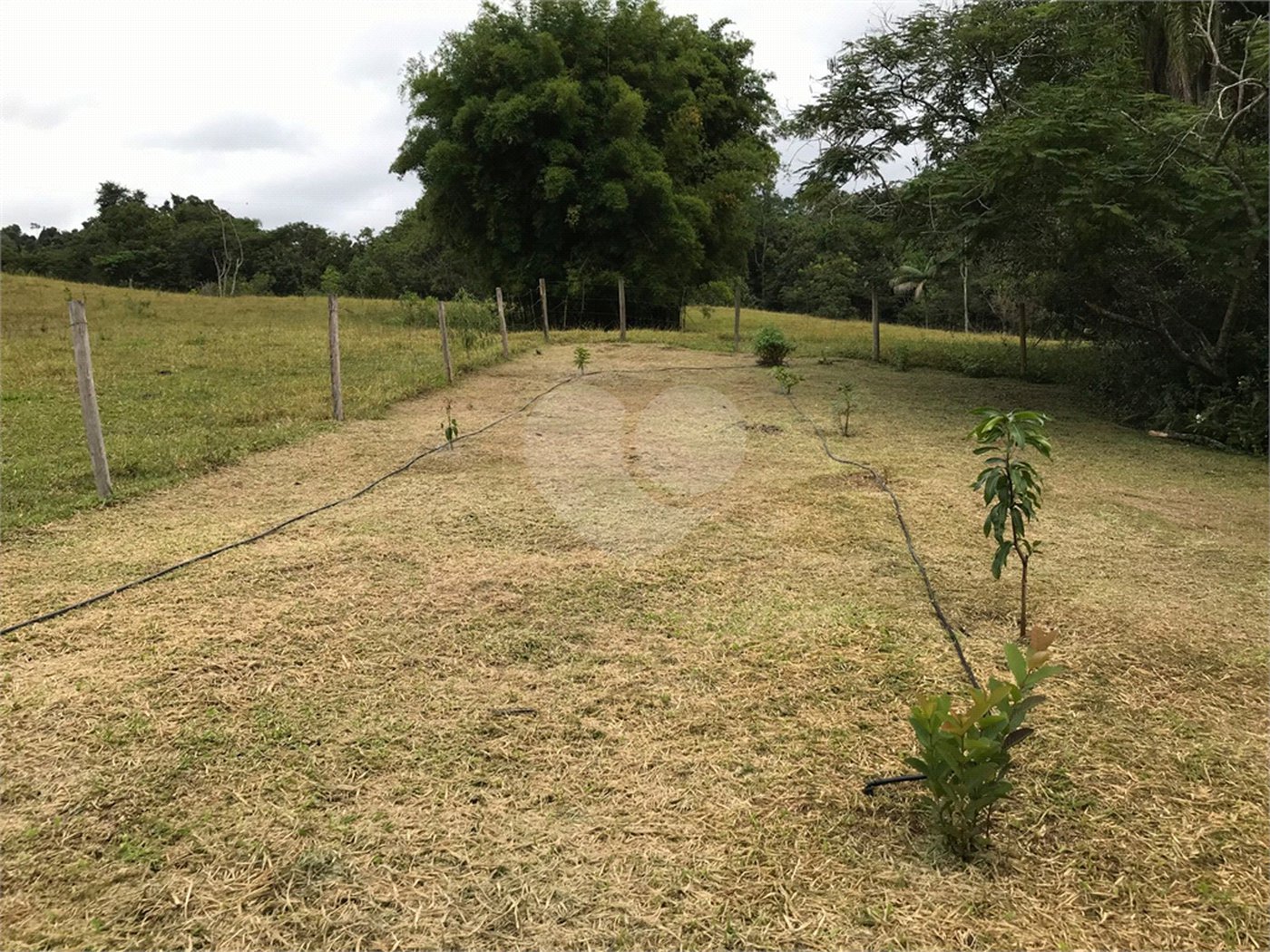 Fazenda à venda com 3 quartos em Cachoeirinha, Bom Jesus dos Perdões, SP