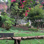 Sobrado à venda com 3 quartos, sendo 1 suíte, em Vila Mariza Mazzei, São Paulo, SP