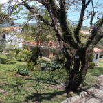 Área de Terra à venda com 3 quartos, sendo 1 suíte, no Centro, Bom Jesus dos Perdões, SP